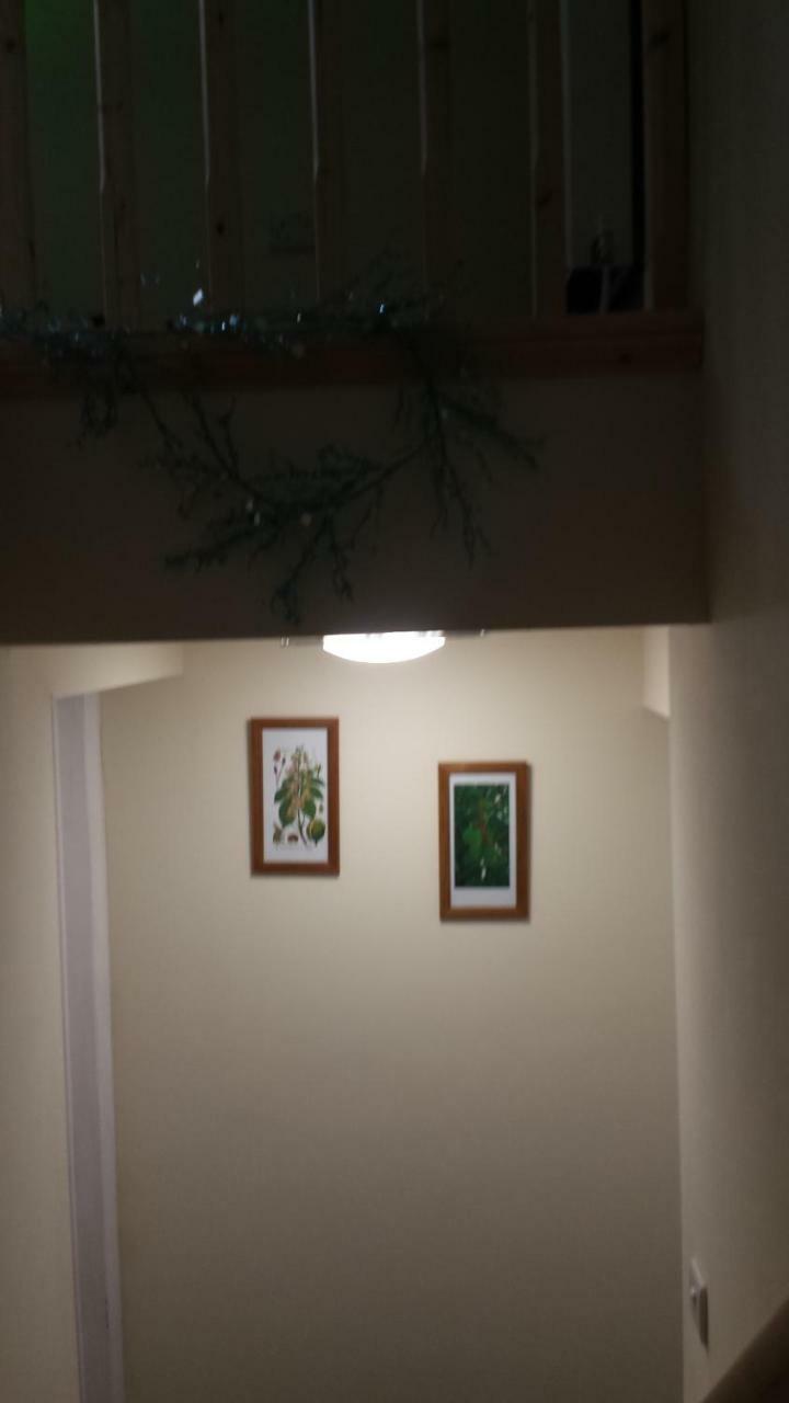 The Saracens Head The Conkera Apartman Chapel Saint Leonards Kültér fotó